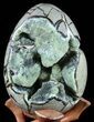 Septarian Dragon Egg Geode - Yellow Calcite Crystals #55494-1